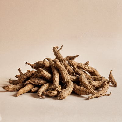 Ashwagandha Shoden®